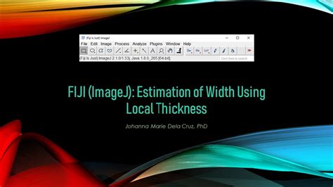 measuring thickness with imagej|imagej local thickness.